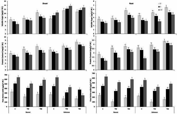 https://cdn.ncbi.nlm.nih.gov/pmc/blobs/48cd/12284221/68fbc9625ab3/41598_2025_8922_Fig3_HTML.jpg