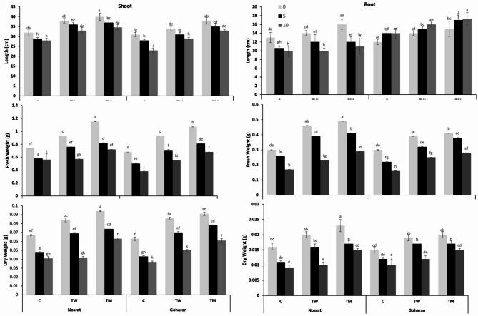 https://cdn.ncbi.nlm.nih.gov/pmc/blobs/48cd/12284221/7b0e697ca1c9/41598_2025_8922_Fig1_HTML.jpg