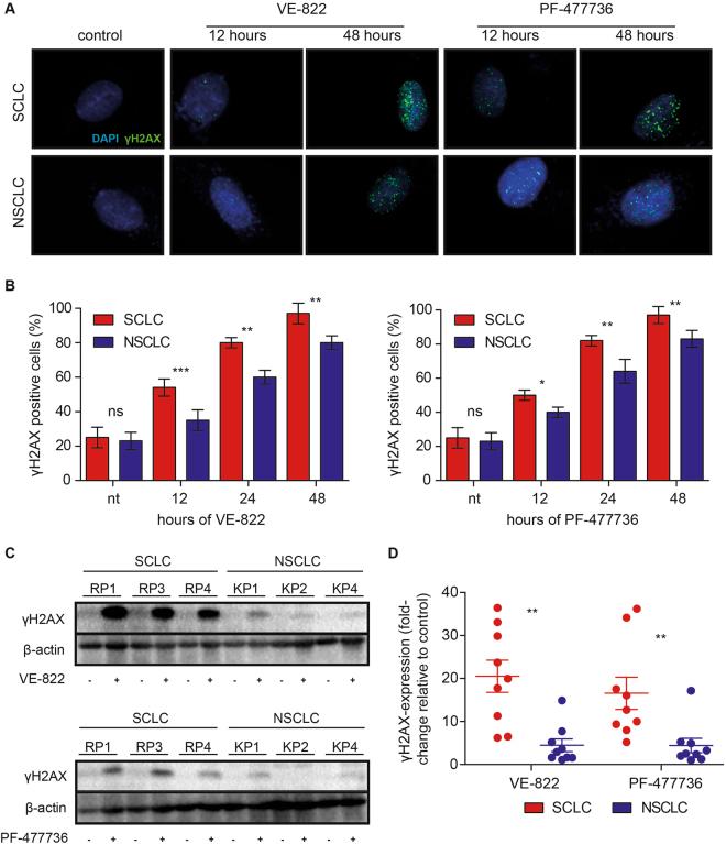 https://cdn.ncbi.nlm.nih.gov/pmc/blobs/48d0/5686113/b57fed9c4e71/41598_2017_15840_Fig3_HTML.jpg