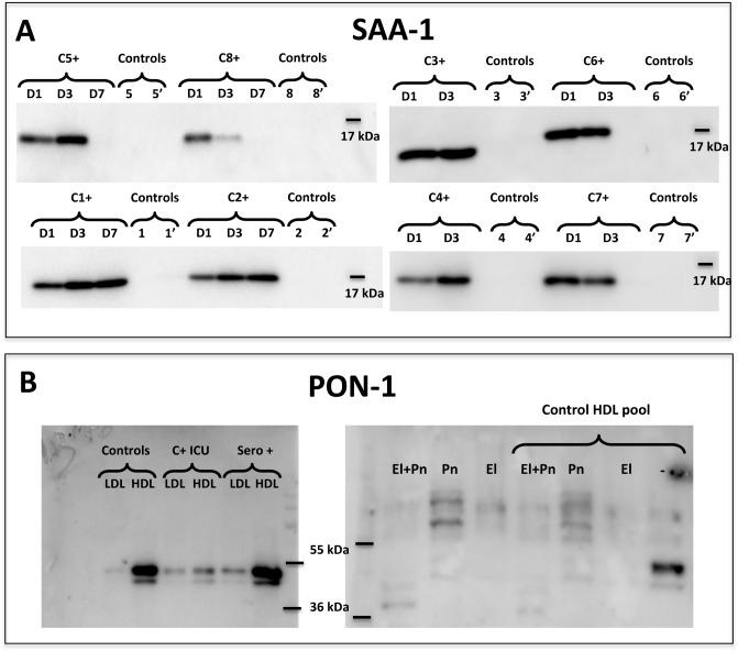 https://cdn.ncbi.nlm.nih.gov/pmc/blobs/48d1/7841145/3c9f32245b8e/41598_2021_81638_Fig3_HTML.jpg
