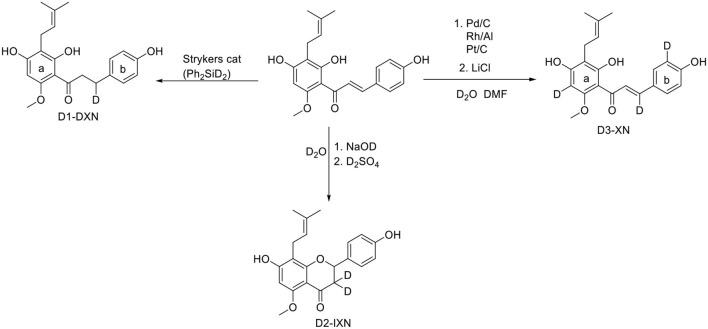 https://cdn.ncbi.nlm.nih.gov/pmc/blobs/48d3/7770140/300411ad3d6e/fnut-07-619921-g0002.jpg