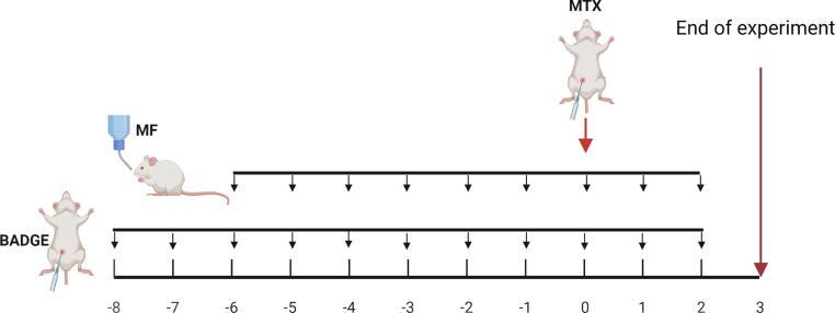 https://cdn.ncbi.nlm.nih.gov/pmc/blobs/48d4/9561181/10e5b0676bb2/gr1.jpg