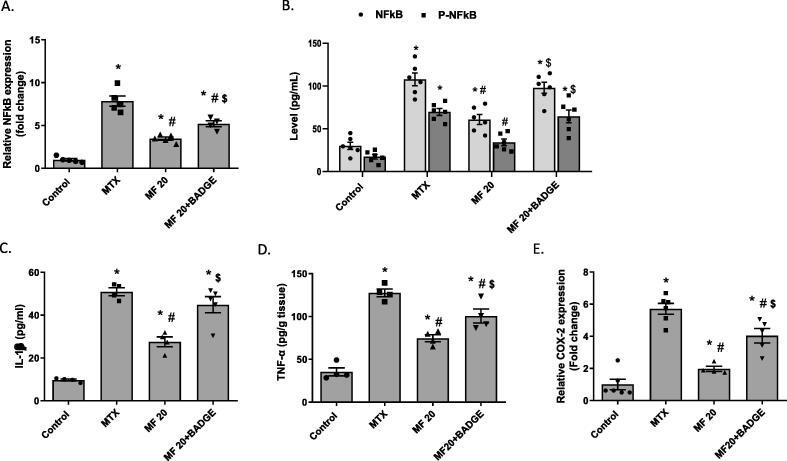 https://cdn.ncbi.nlm.nih.gov/pmc/blobs/48d4/9561181/1e8dd4fb4a13/gr5.jpg