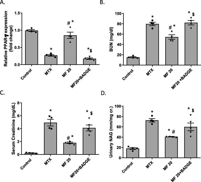 https://cdn.ncbi.nlm.nih.gov/pmc/blobs/48d4/9561181/57698c170ba4/gr4.jpg