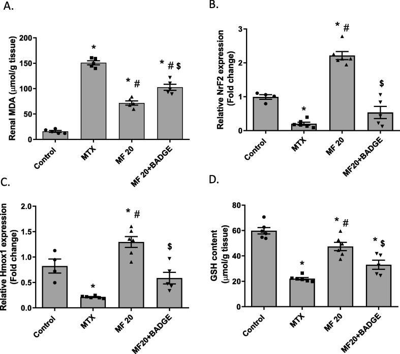 https://cdn.ncbi.nlm.nih.gov/pmc/blobs/48d4/9561181/597cc73e5fa6/gr6.jpg