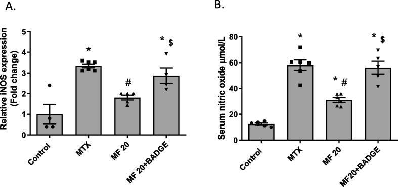 https://cdn.ncbi.nlm.nih.gov/pmc/blobs/48d4/9561181/d3233b4ab831/gr7.jpg