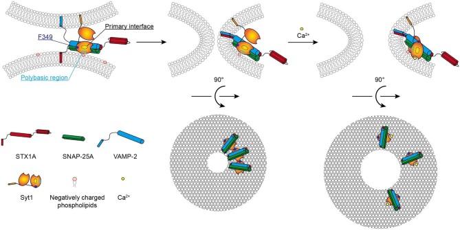 https://cdn.ncbi.nlm.nih.gov/pmc/blobs/48d7/11472156/5b549f1403c0/mjae011fig6.jpg
