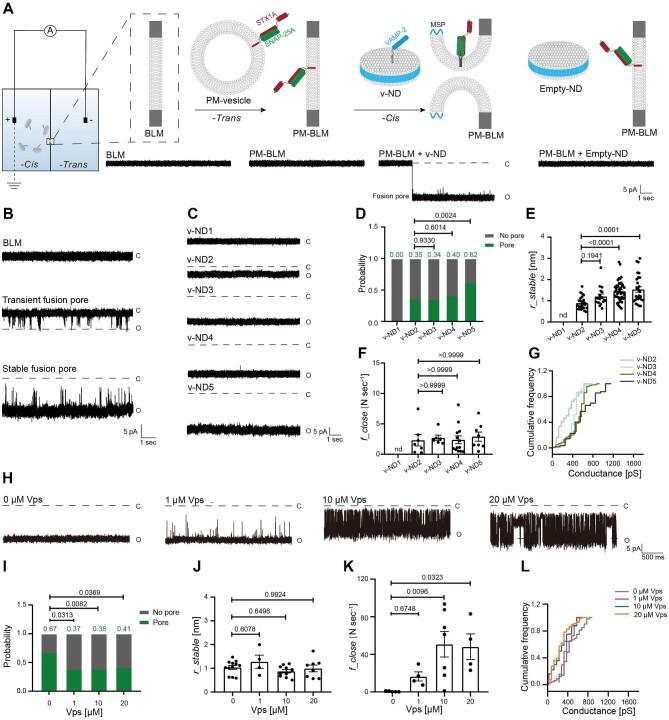 https://cdn.ncbi.nlm.nih.gov/pmc/blobs/48d7/11472156/baa2f509615f/mjae011fig1.jpg