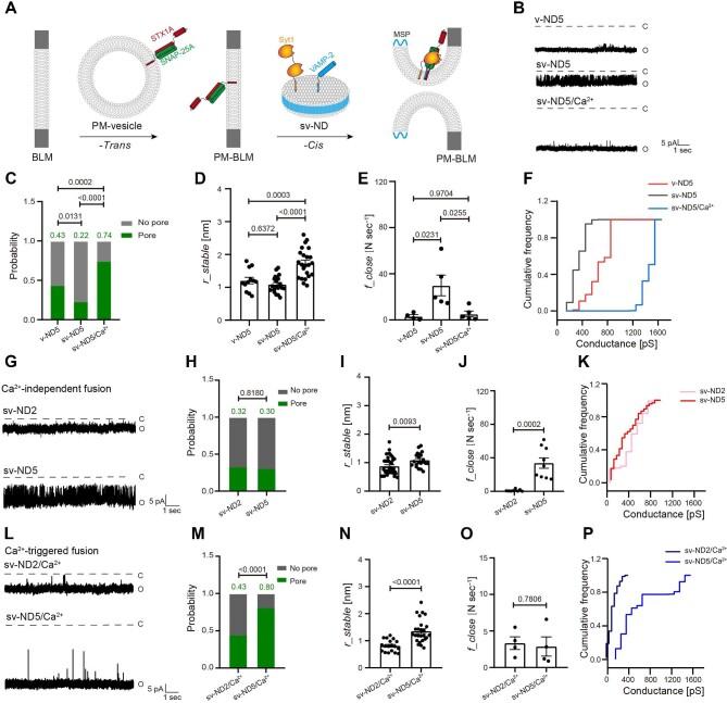 https://cdn.ncbi.nlm.nih.gov/pmc/blobs/48d7/11472156/cf50f330b0f6/mjae011fig2.jpg