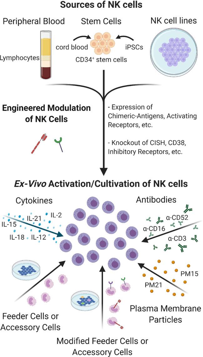 https://cdn.ncbi.nlm.nih.gov/pmc/blobs/48d8/8115550/1b30ab089afb/fimmu-12-679117-g005.jpg