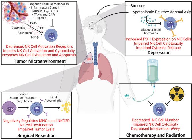 https://cdn.ncbi.nlm.nih.gov/pmc/blobs/48d8/8115550/e91eedad741c/fimmu-12-679117-g004.jpg