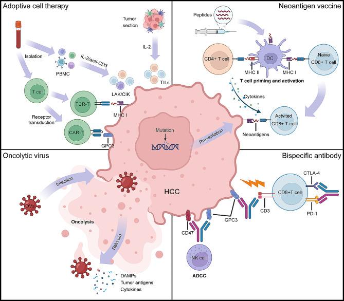 https://cdn.ncbi.nlm.nih.gov/pmc/blobs/48d9/11057182/b6a718b99f03/13045_2024_1549_Fig2_HTML.jpg