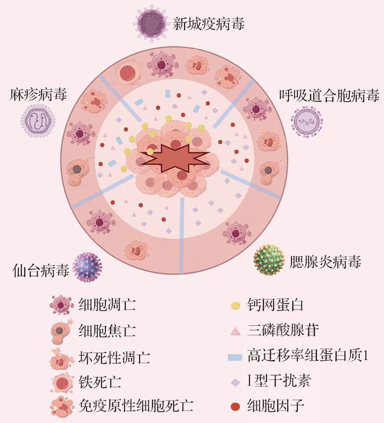 https://cdn.ncbi.nlm.nih.gov/pmc/blobs/48da/12176543/f562911f66e6/1008-9292-2025-54-3-399-g001.jpg