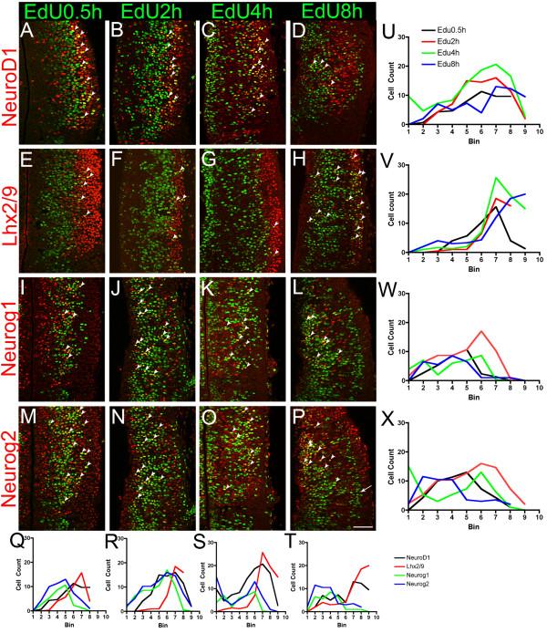 https://cdn.ncbi.nlm.nih.gov/pmc/blobs/48dc/3234181/fd6925b3502e/1749-8104-6-35-7.jpg