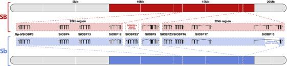 https://cdn.ncbi.nlm.nih.gov/pmc/blobs/48dc/6121795/6e465036c661/EVL3-1-199-g002.jpg