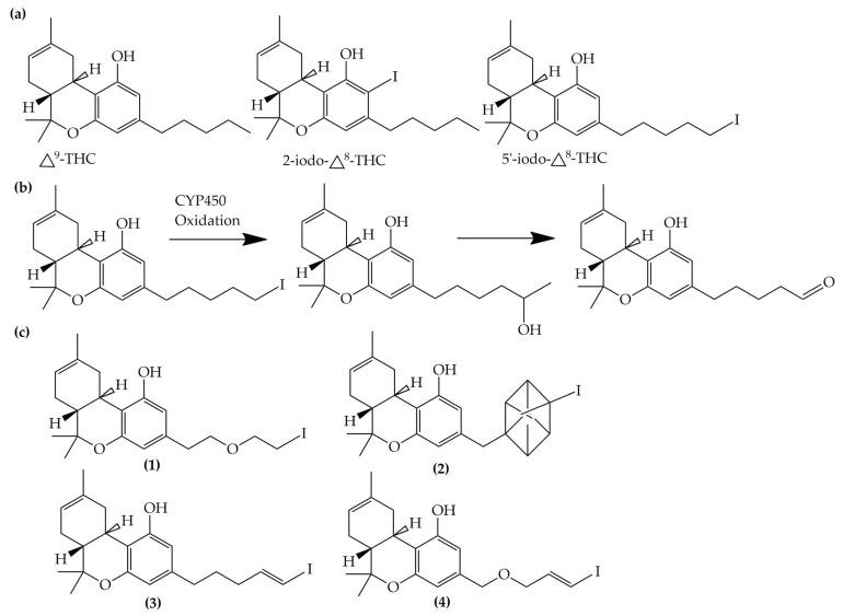 https://cdn.ncbi.nlm.nih.gov/pmc/blobs/48dc/9694974/358defc6e7c3/molecules-27-08009-g006.jpg
