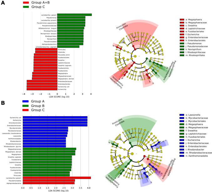 https://cdn.ncbi.nlm.nih.gov/pmc/blobs/48de/11393154/9bf8f8c61dea/404_2024_7631_Fig2_HTML.jpg