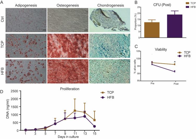 https://cdn.ncbi.nlm.nih.gov/pmc/blobs/48de/11686135/16583b069bd9/41598_2024_83255_Fig4_HTML.jpg