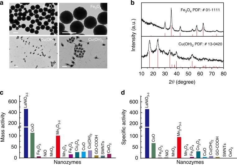 https://cdn.ncbi.nlm.nih.gov/pmc/blobs/48de/6370761/61fb0db47765/41467_2019_8657_Fig5_HTML.jpg