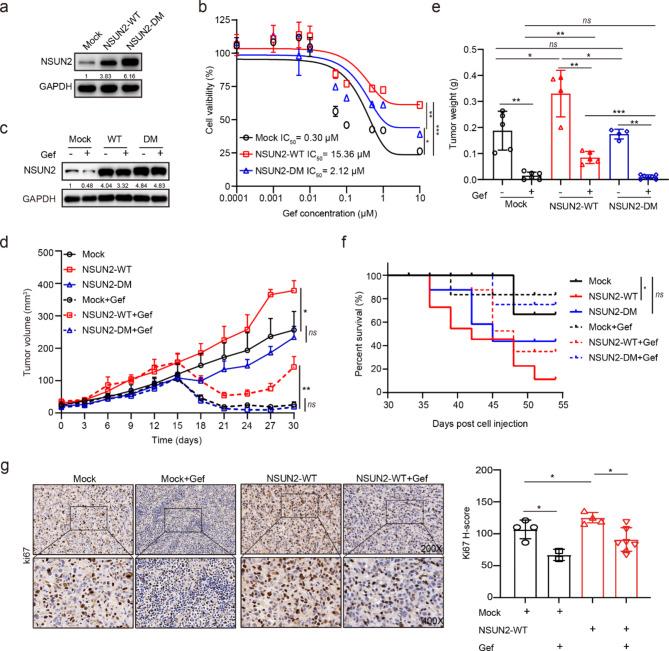 https://cdn.ncbi.nlm.nih.gov/pmc/blobs/48e0/10169458/319fa23ddfee/12943_2023_1780_Fig2_HTML.jpg