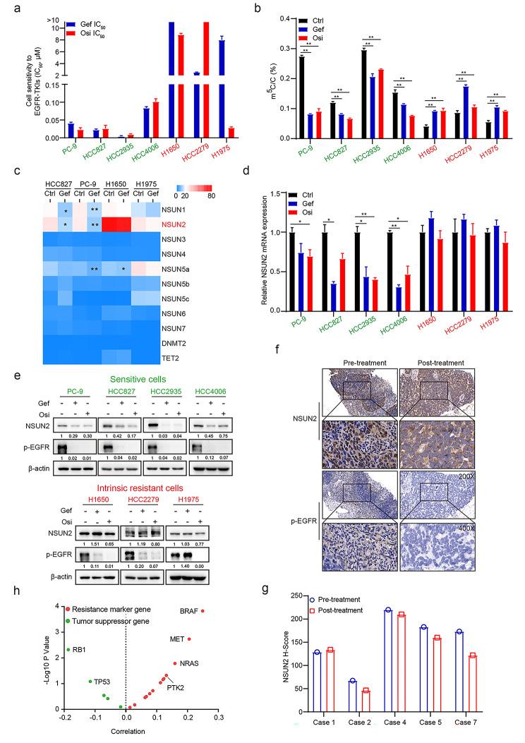 https://cdn.ncbi.nlm.nih.gov/pmc/blobs/48e0/10169458/3a38cded19b4/12943_2023_1780_Fig1_HTML.jpg