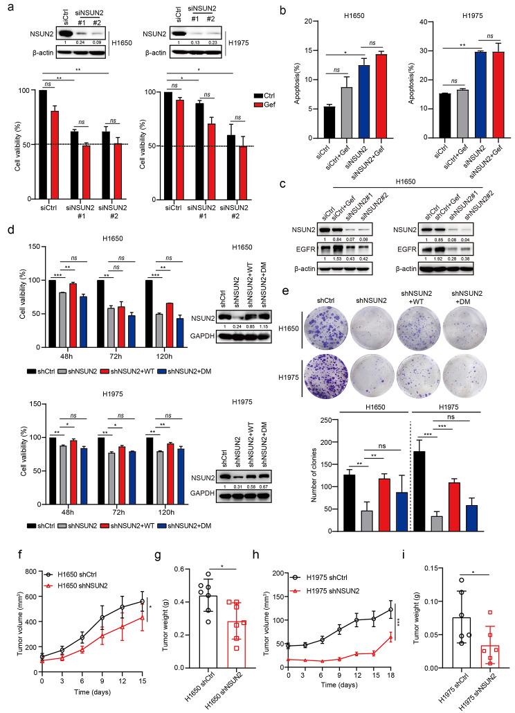 https://cdn.ncbi.nlm.nih.gov/pmc/blobs/48e0/10169458/6b88185e5d83/12943_2023_1780_Fig3_HTML.jpg