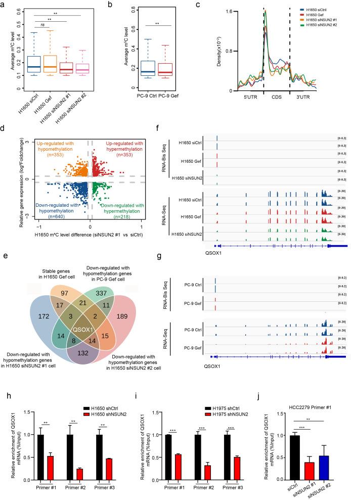 https://cdn.ncbi.nlm.nih.gov/pmc/blobs/48e0/10169458/7ca78f5782d0/12943_2023_1780_Fig5_HTML.jpg