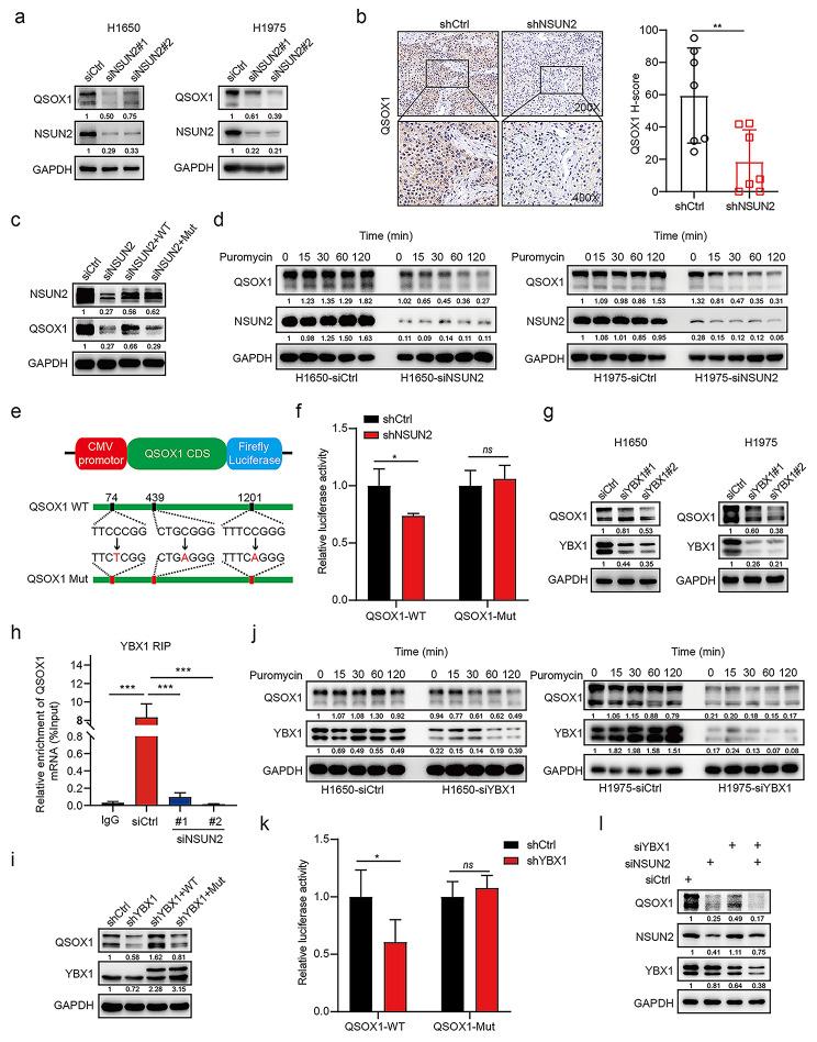 https://cdn.ncbi.nlm.nih.gov/pmc/blobs/48e0/10169458/b633a8587830/12943_2023_1780_Fig6_HTML.jpg