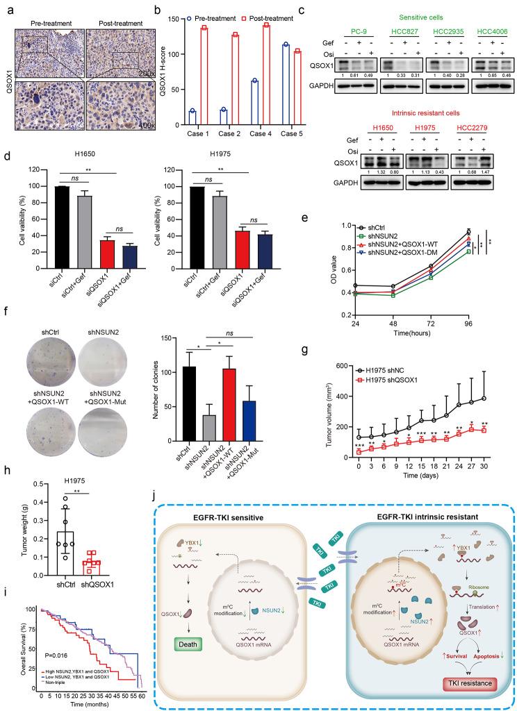 https://cdn.ncbi.nlm.nih.gov/pmc/blobs/48e0/10169458/cd9dd7b5dde1/12943_2023_1780_Fig7_HTML.jpg