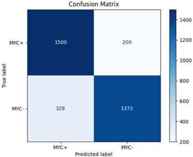 https://cdn.ncbi.nlm.nih.gov/pmc/blobs/48e0/12345923/1c898a66a352/diagnostics-15-01958-g012.jpg