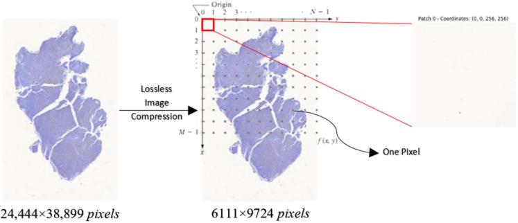 https://cdn.ncbi.nlm.nih.gov/pmc/blobs/48e0/12345923/24ee489fd7d3/diagnostics-15-01958-g002.jpg