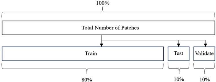 https://cdn.ncbi.nlm.nih.gov/pmc/blobs/48e0/12345923/3ce081665a5d/diagnostics-15-01958-g003.jpg