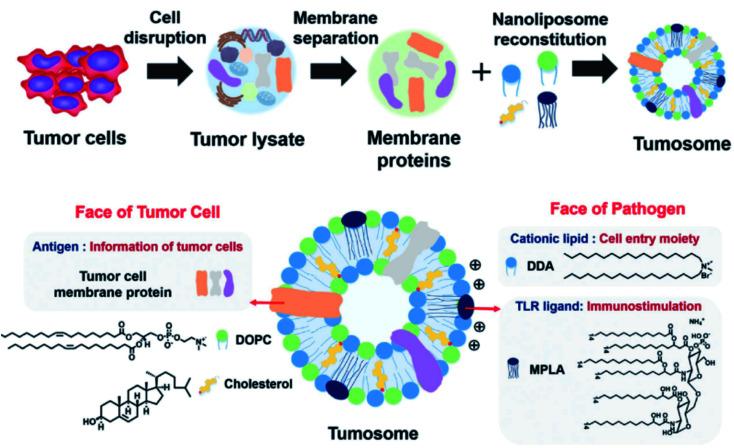 https://cdn.ncbi.nlm.nih.gov/pmc/blobs/48e1/9418019/0eb6bf86e19a/d0na00478b-f13.jpg