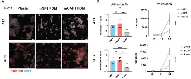 https://cdn.ncbi.nlm.nih.gov/pmc/blobs/48e2/10395327/3f3ee1aab60e/fimmu-14-1154528-g001.jpg