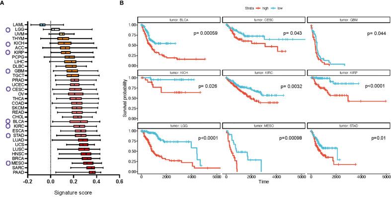 https://cdn.ncbi.nlm.nih.gov/pmc/blobs/48e2/10395327/da8466bfc91c/fimmu-14-1154528-g004.jpg