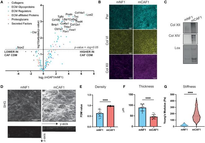 https://cdn.ncbi.nlm.nih.gov/pmc/blobs/48e2/10395327/dcc357557112/fimmu-14-1154528-g002.jpg