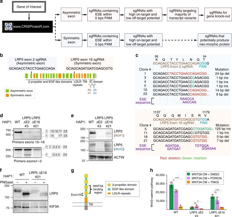 https://cdn.ncbi.nlm.nih.gov/pmc/blobs/48e2/6731291/3840a52cf439/41467_2019_12028_Fig5_HTML.jpg