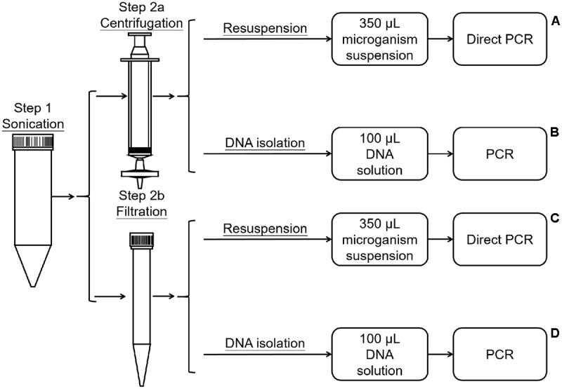 https://cdn.ncbi.nlm.nih.gov/pmc/blobs/48e3/5622981/6b39fbf41d7b/fpls-08-01623-g001.jpg