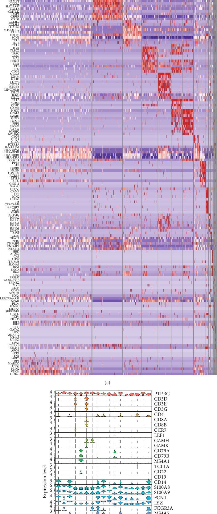 https://cdn.ncbi.nlm.nih.gov/pmc/blobs/48e5/12006691/4d6410bd5667/MI2025-5531382.001.jpg