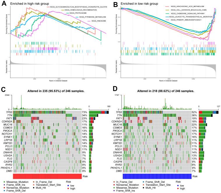 https://cdn.ncbi.nlm.nih.gov/pmc/blobs/48eb/10866440/a5c7d96b4a6f/aging-16-205455-g004.jpg