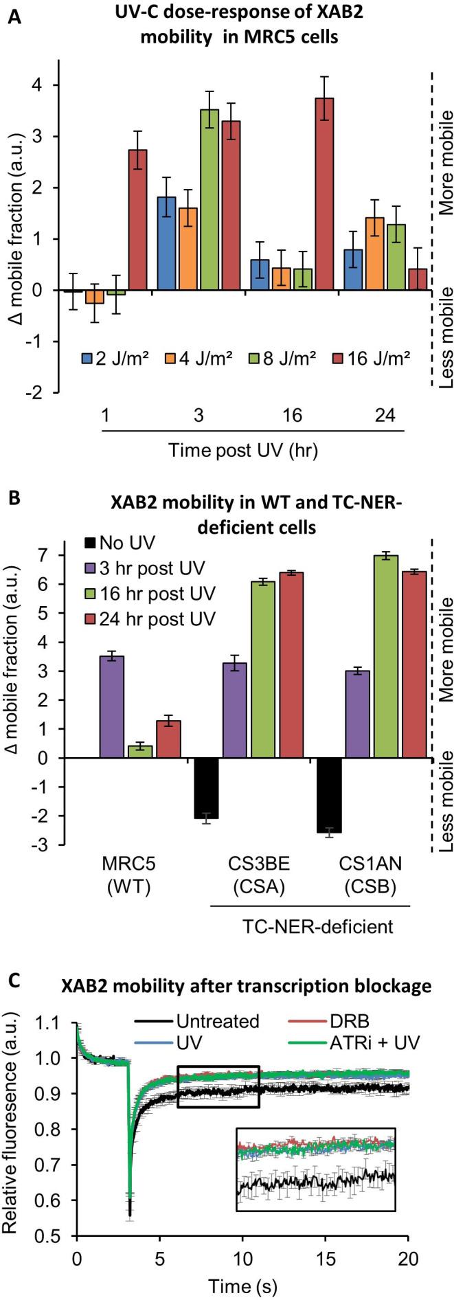 https://cdn.ncbi.nlm.nih.gov/pmc/blobs/48ec/9436415/33d2f1f16360/elife-77094-fig4.jpg
