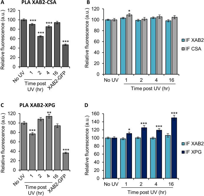 https://cdn.ncbi.nlm.nih.gov/pmc/blobs/48ec/9436415/92a0d86a9aa2/elife-77094-fig6.jpg