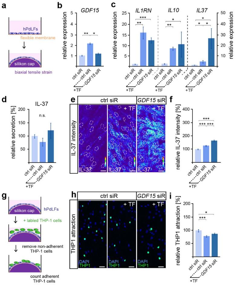 https://cdn.ncbi.nlm.nih.gov/pmc/blobs/48ed/10888100/90f12e42489d/dentistry-12-00039-g001.jpg