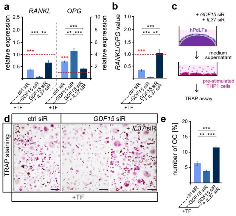 https://cdn.ncbi.nlm.nih.gov/pmc/blobs/48ed/10888100/f6a84f074fbd/dentistry-12-00039-g004.jpg