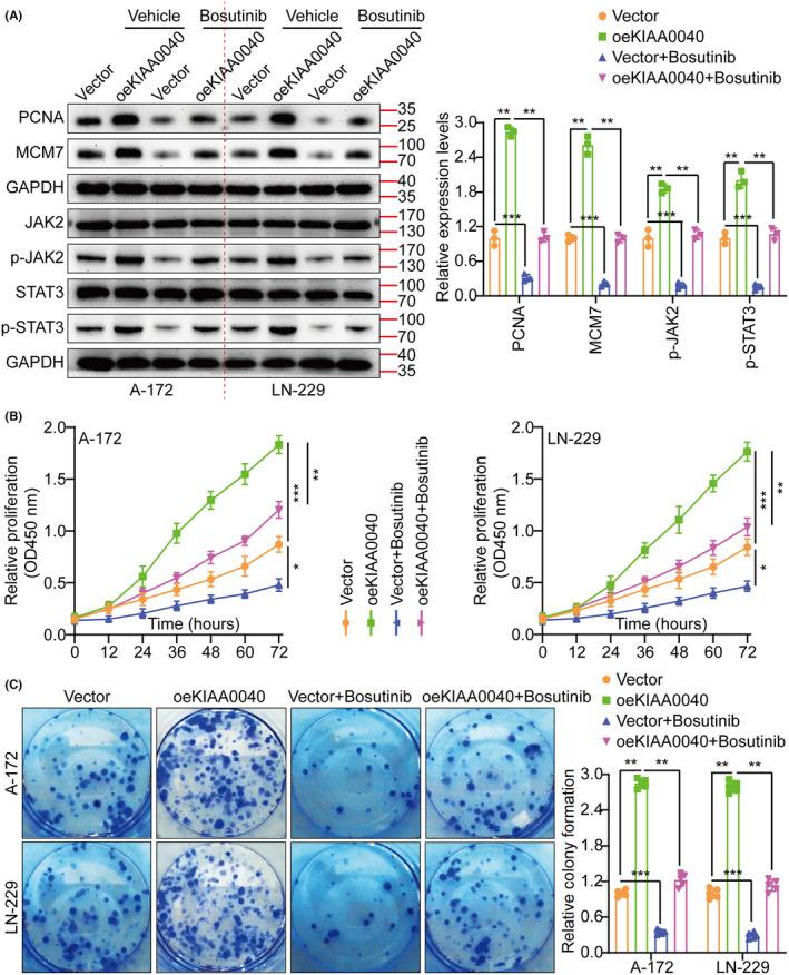 https://cdn.ncbi.nlm.nih.gov/pmc/blobs/48ed/11044867/e5c972f4add0/JCMM-28-e18332-g006.jpg