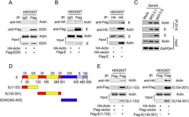 https://cdn.ncbi.nlm.nih.gov/pmc/blobs/48ee/8379325/ef1d3bbe615f/12250_2020_343_Fig2_HTML.jpg