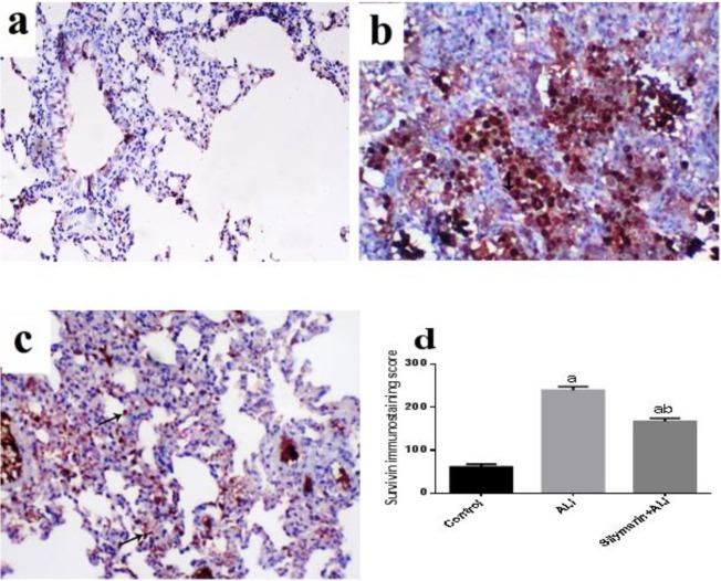 https://cdn.ncbi.nlm.nih.gov/pmc/blobs/48ef/7043873/2ea4ca57e685/IJBMS-22-1483-g005.jpg