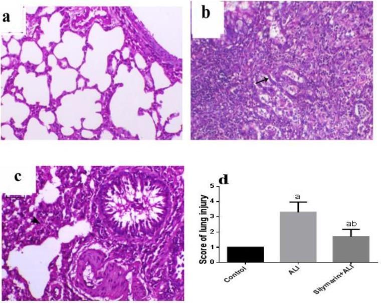 https://cdn.ncbi.nlm.nih.gov/pmc/blobs/48ef/7043873/b99a70d063bc/IJBMS-22-1483-g004.jpg