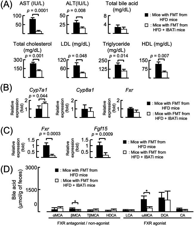 https://cdn.ncbi.nlm.nih.gov/pmc/blobs/48ef/8406289/6d64ede2d3cc/mbio.01155-21-f003.jpg