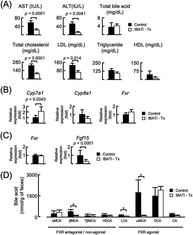 https://cdn.ncbi.nlm.nih.gov/pmc/blobs/48ef/8406289/a73bc722588b/mbio.01155-21-f007.jpg